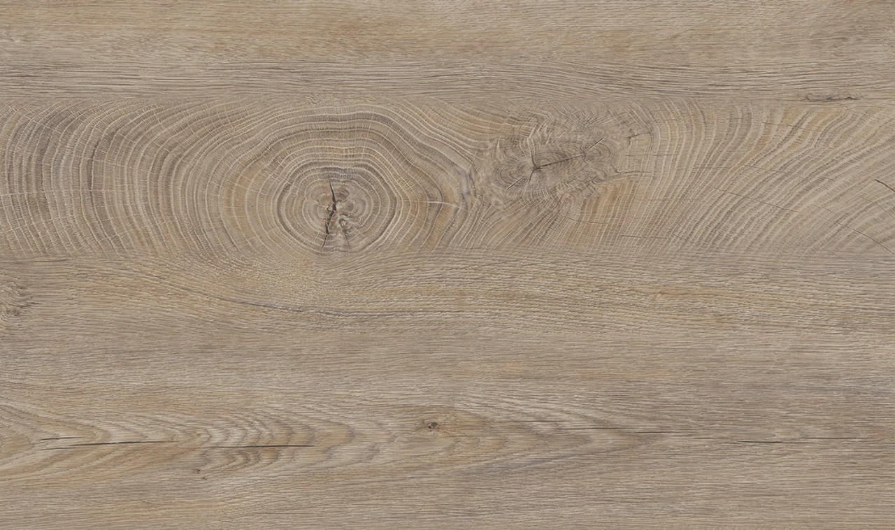 Oak Grain